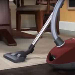 Best Canister Vacuum for Pet Hair
